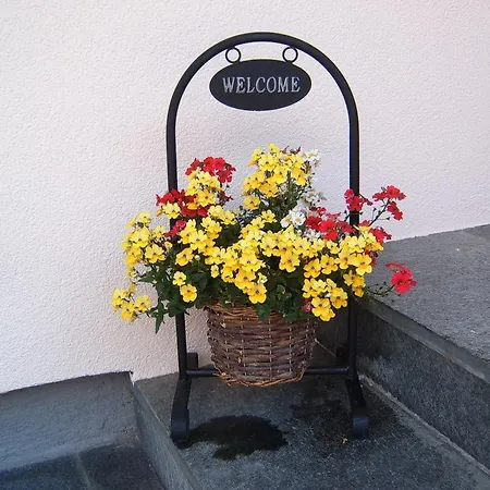 Bed & Breakfast Felsenheim 3*