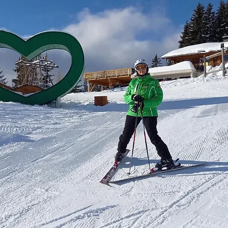 Felsenheim Ramsau am Dachstein