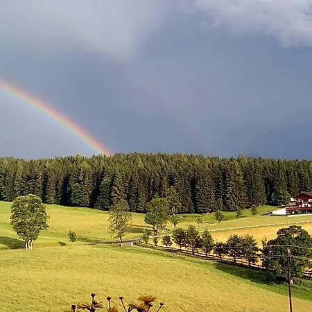Felsenheim 3* Ramsau am Dachstein